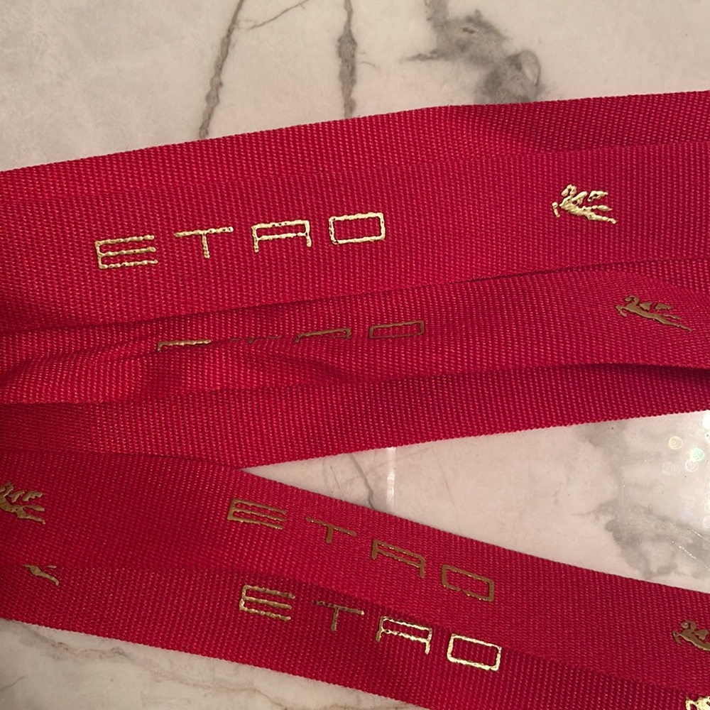 Etro Ribbon 🎀 9&” - Picture 7 of 7